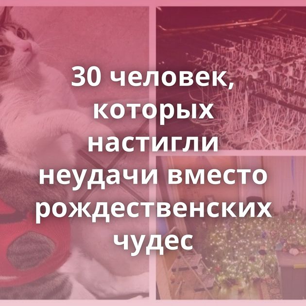 30 человек, которых настигли неудачи вместо рождественских чудес