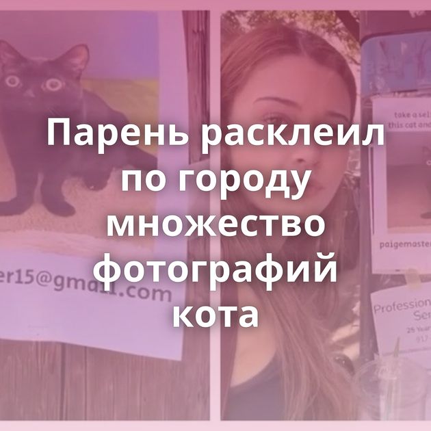 Парень расклеил по городу множество фотографий кота