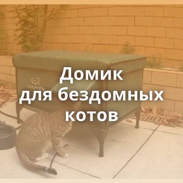 Домик для бездомных котов