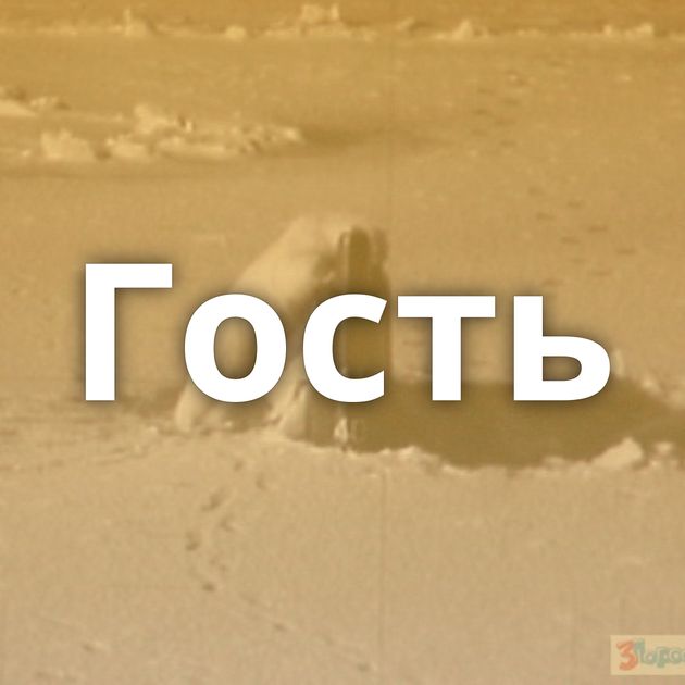 Гость