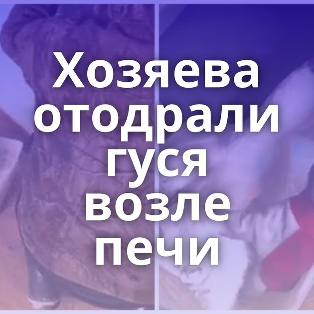 Хозяева отодрали гуся возле печи