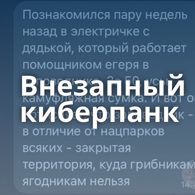 Внезапный киберпанк