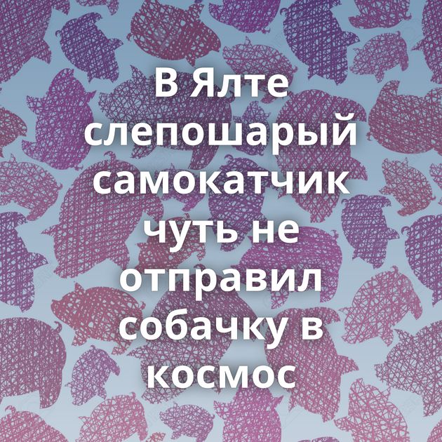 В Ялте слепошарый самокатчик чуть не отправил собачку в космос