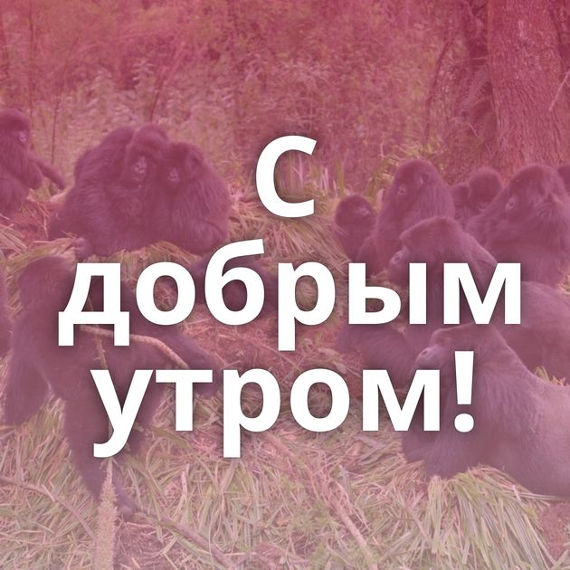 С добрым утром!