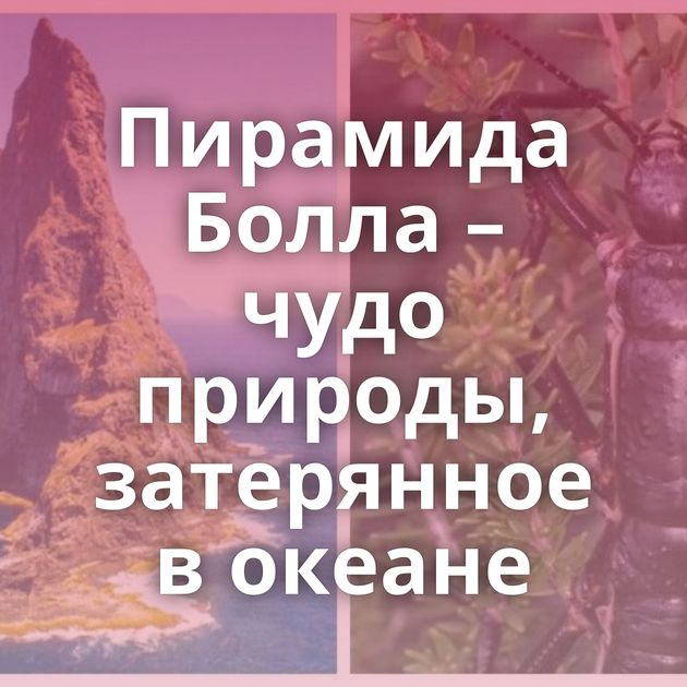 Пирамида Болла – чудо природы, затерянное в океане