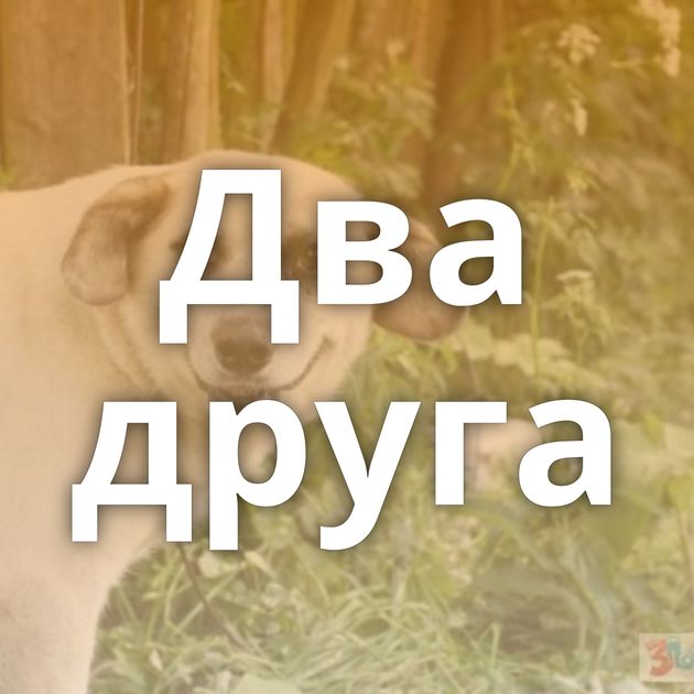 Два друга