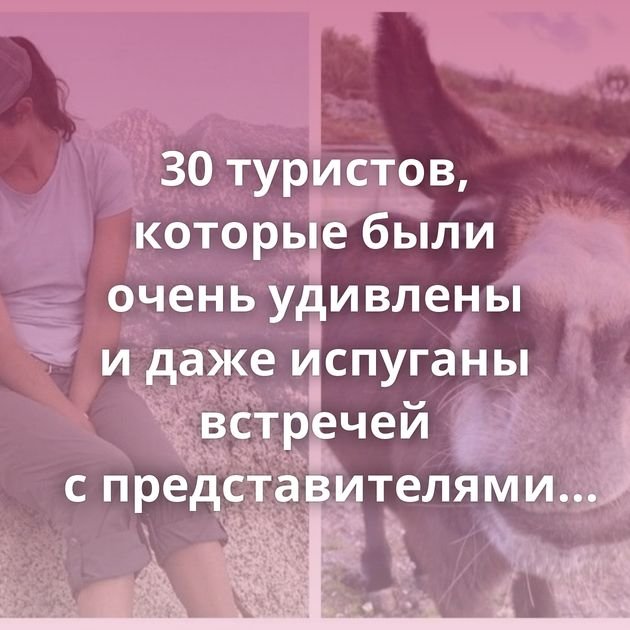 30 туристов, которые были очень удивлены и даже испуганы встречей с представителями местной фауны