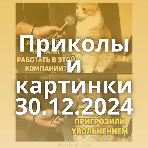 Приколы и картинки 30.12.2024