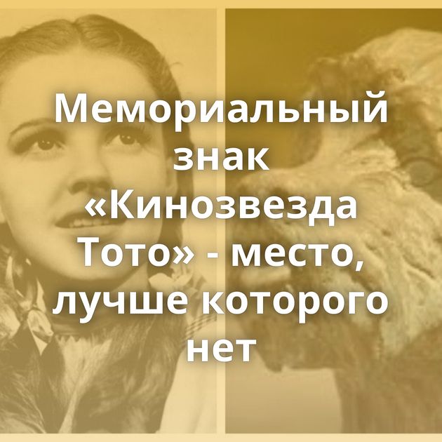 Мемориальный знак «Кинозвезда Тото» - место, лучше которого нет