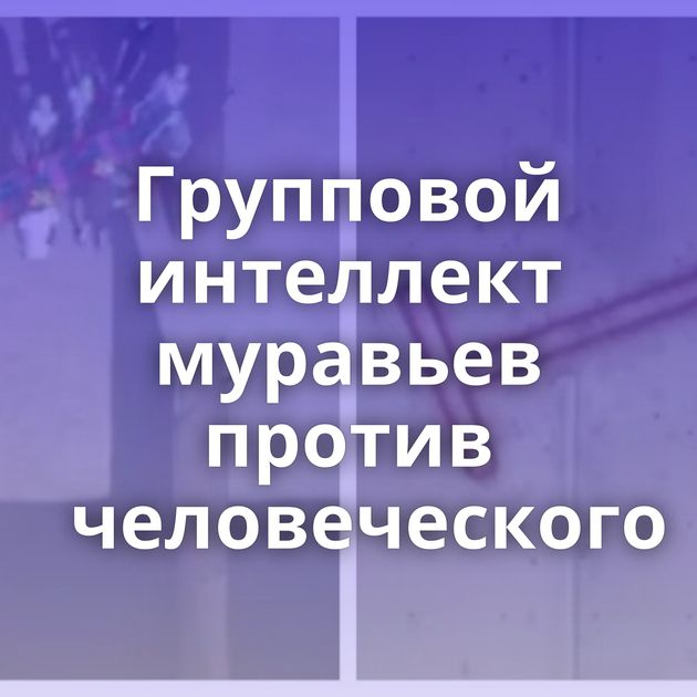 Групповой интеллект муравьев против человеческого