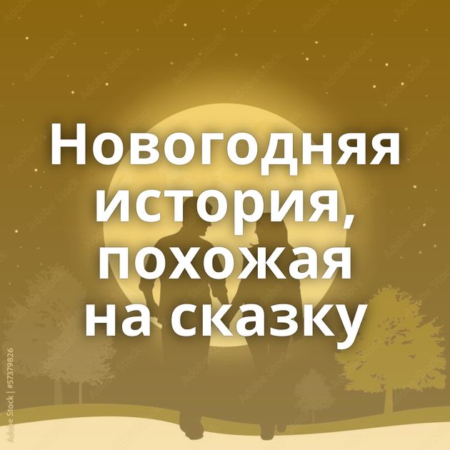 Новогодняя история, похожая на сказку