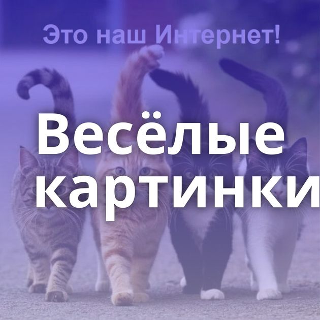 Весёлые картинки