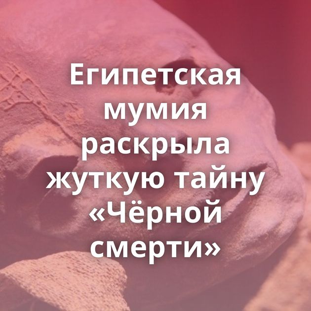 Египетская мумия раскрыла жуткую тайну «Чёрной смерти»