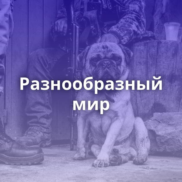 Разнообразный мир