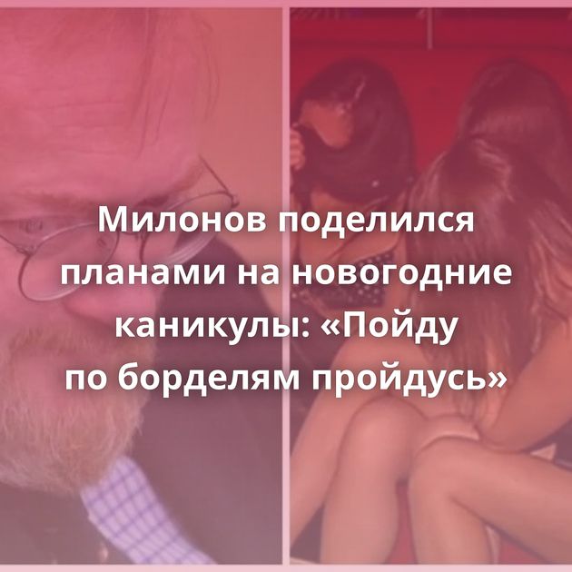 Милонов поделился планами на новогодние каникулы: «Пойду по борделям пройдусь»