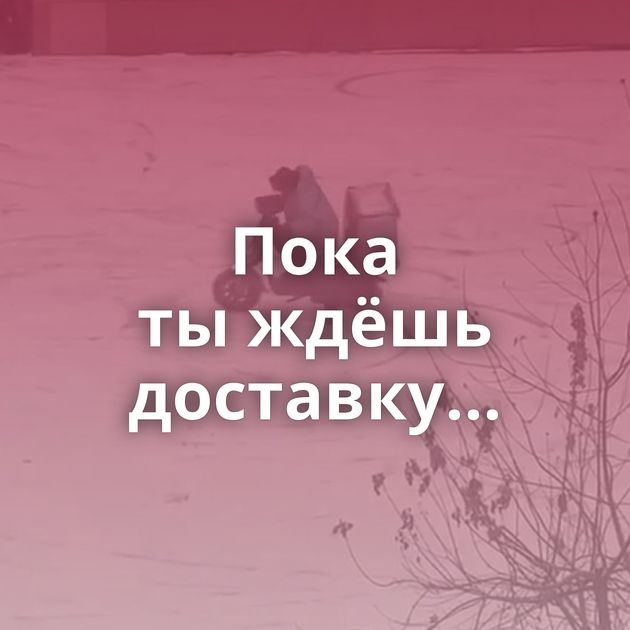 Пока ты ждёшь доставку...