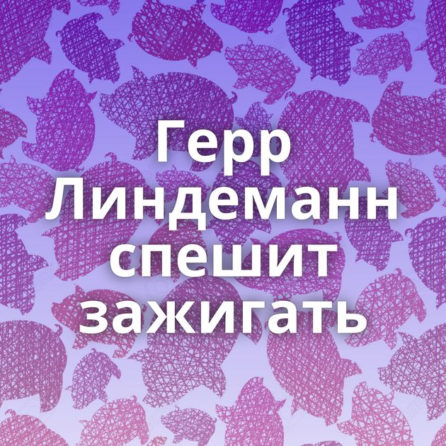 Герр Линдеманн спешит зажигать