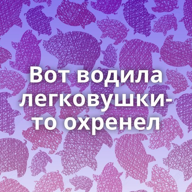 Вот водила легковушки-то охренел