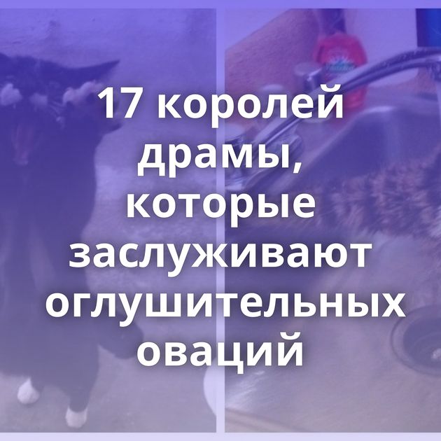 17 королей драмы, которые заслуживают оглушительных оваций