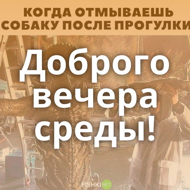 Доброго вечера среды!