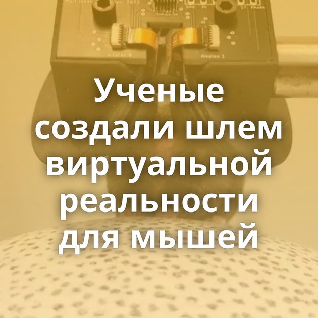 Ученые создали шлем виртуальной реальности для мышей