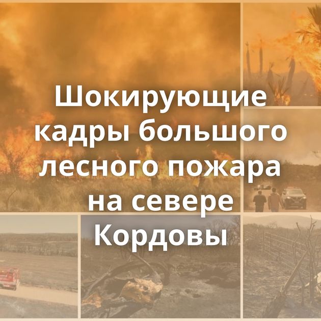 Шокирующие кадры большого лесного пожара на севере Кордовы