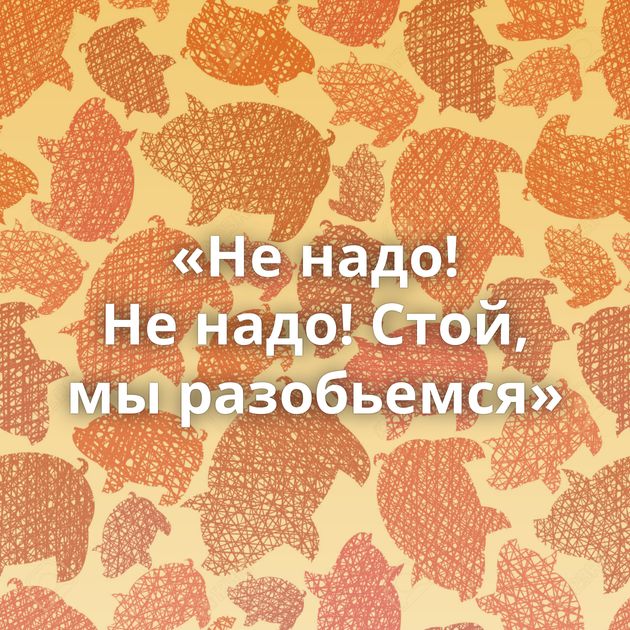 «Не надо! Не надо! Стой, мы разобьемся»