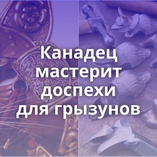 Канадец мастерит доспехи для грызунов