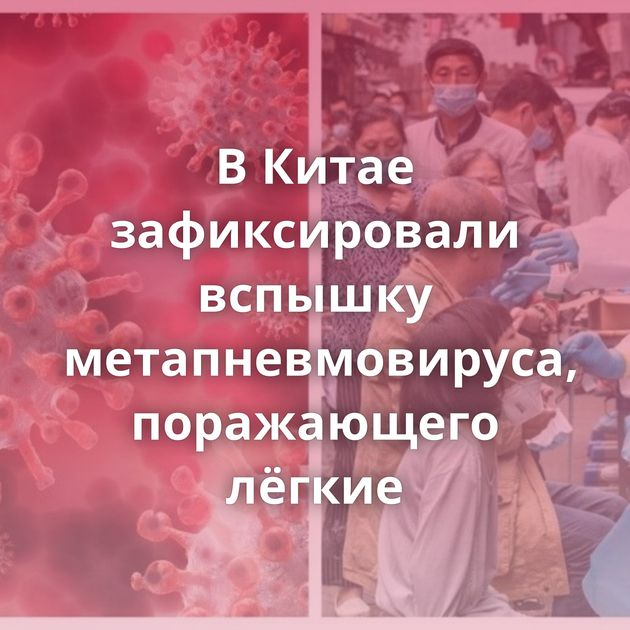 В Китае зафиксировали вспышку метапневмовируса, поражающего лёгкие