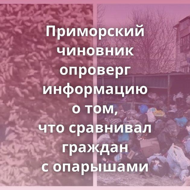 Приморский чиновник опроверг информацию о том, что сравнивал граждан с опарышами