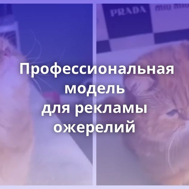 Профессиональная модель для рекламы ожерелий