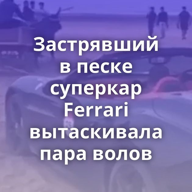 Застрявший в песке суперкар Ferrari вытаскивала пара волов