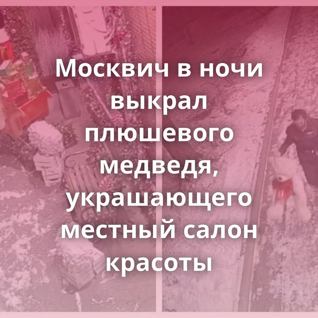 Москвич в ночи выкрал плюшевого медведя, украшающего местный салон красоты