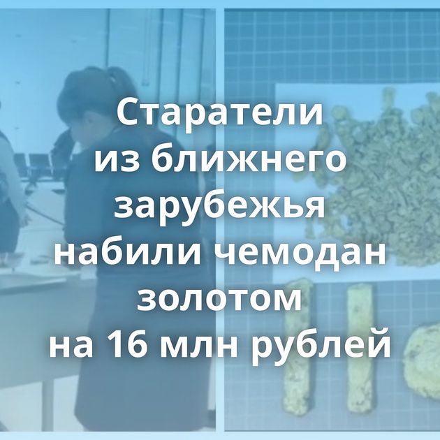 Старатели из ближнего зарубежья набили чемодан золотом на 16 млн рублей