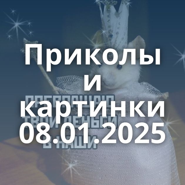 Приколы и картинки 08.01.2025