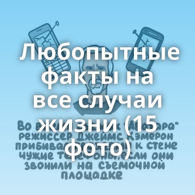 Любопытные факты на все случаи жизни (15 фото)