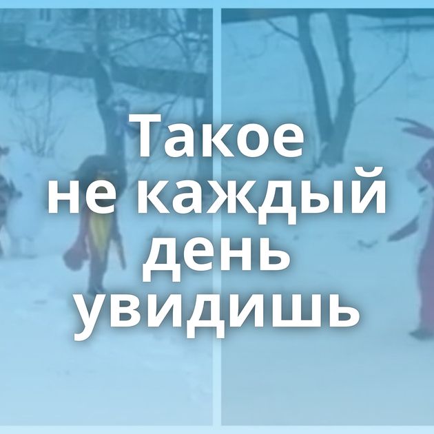 Такое не каждый день увидишь