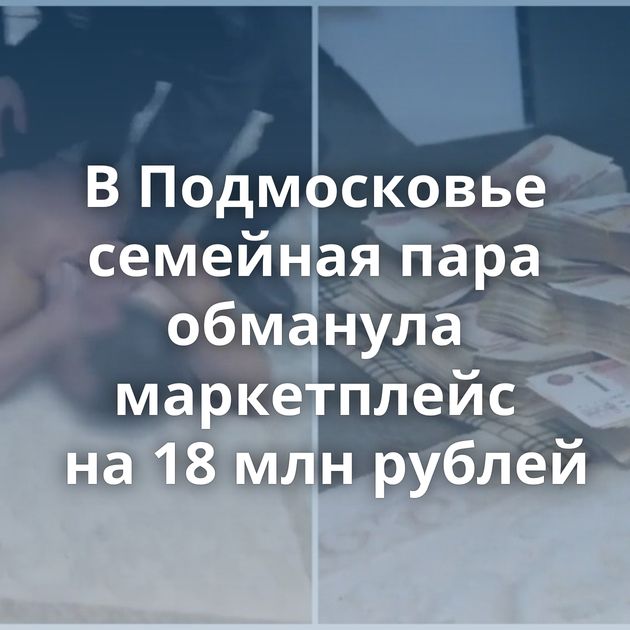 В Подмосковье семейная пара обманула маркетплейс на 18 млн рублей