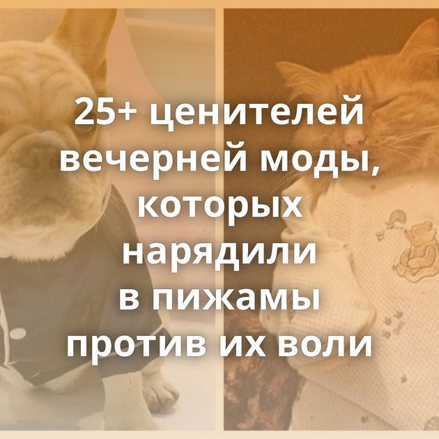 25+ ценителей вечерней моды, которых нарядили в пижамы против их воли