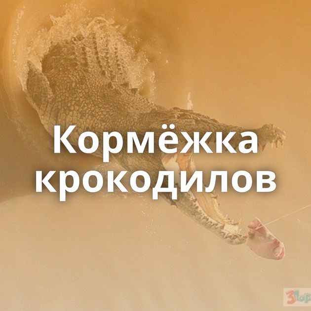 Кормёжка крокодилов