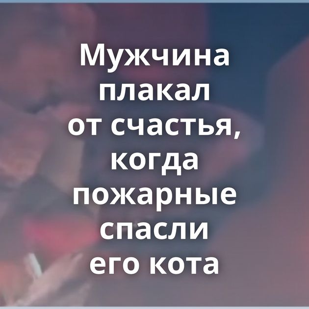 Мужчина плакал от счастья, когда пожарные спасли его кота