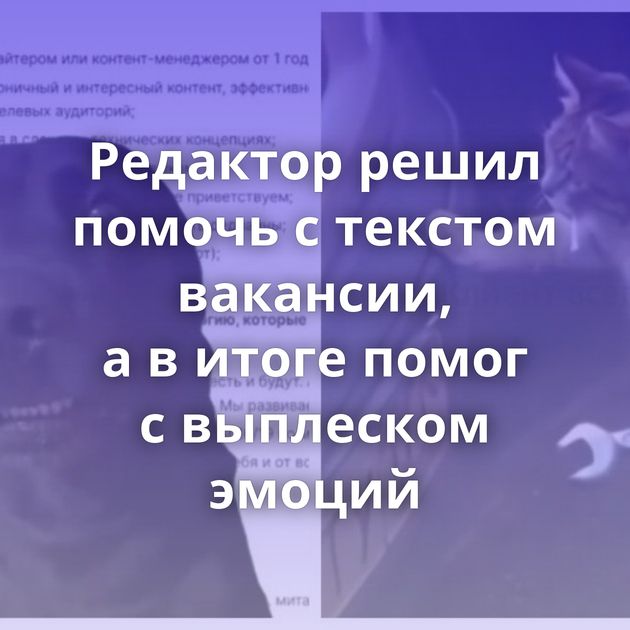 Редактор решил помочь с текстом вакансии, а в итоге помог с выплеском эмоций