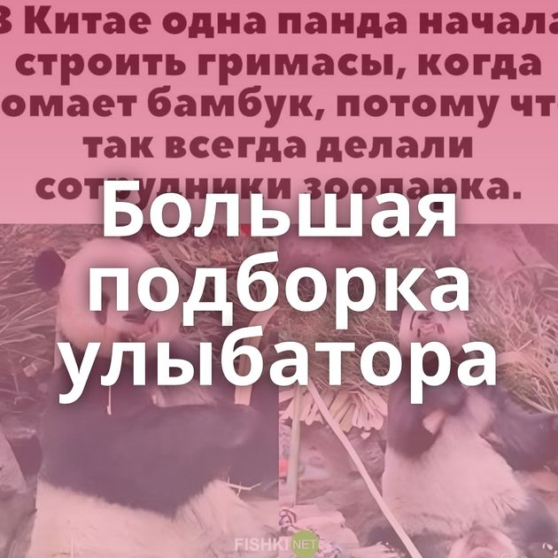 Большая подборка улыбатора