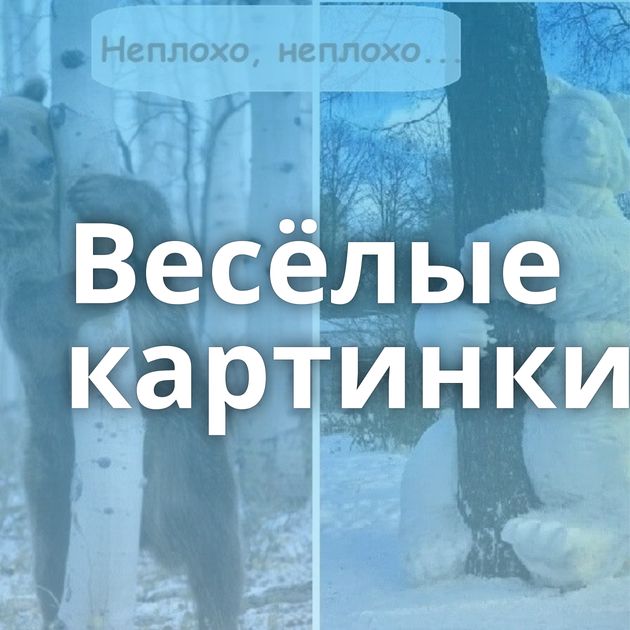 Весёлые картинки