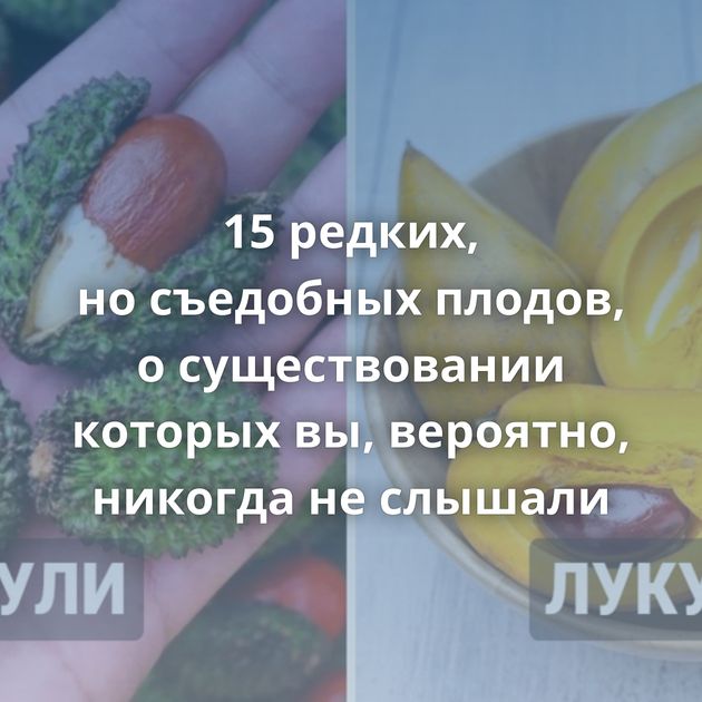 15 редких, но съедобных плодов, о существовании которых вы, вероятно, никогда не слышали