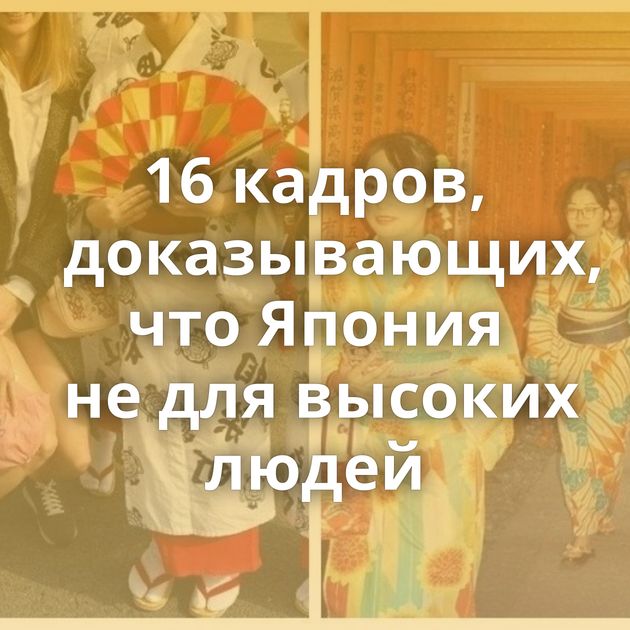 16 кадров, доказывающих, что Япония не для высоких людей