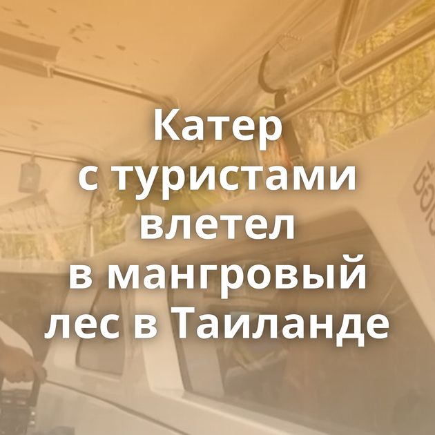 Катер с туристами влетел в мангровый лес в Таиланде