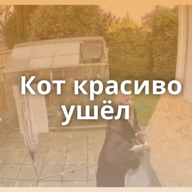 Кот красиво ушёл