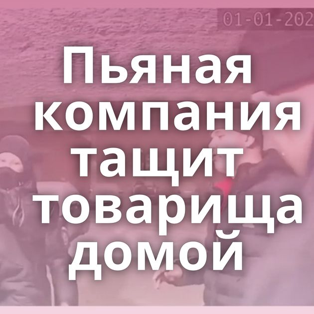 Пьяная компания тащит товарища домой