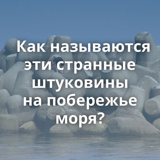 Как называются эти странные штуковины на побережье моря?